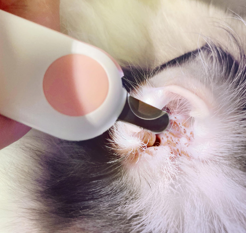 GuLuPets herramienta de grooming para una experiencia tranquila de cuidado.