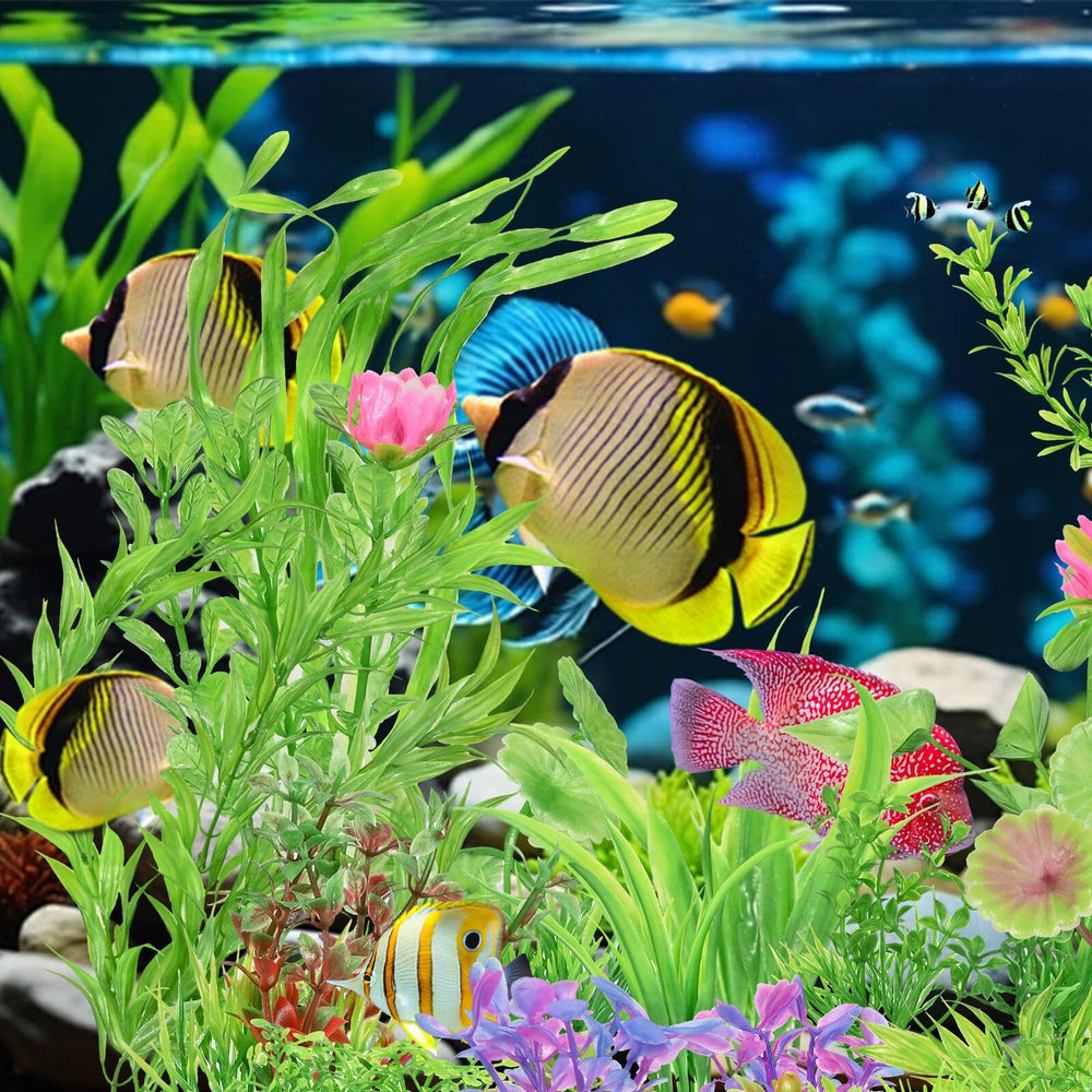 Plantas de acuario Gupawix, variedad de estilos para refugio y estética.