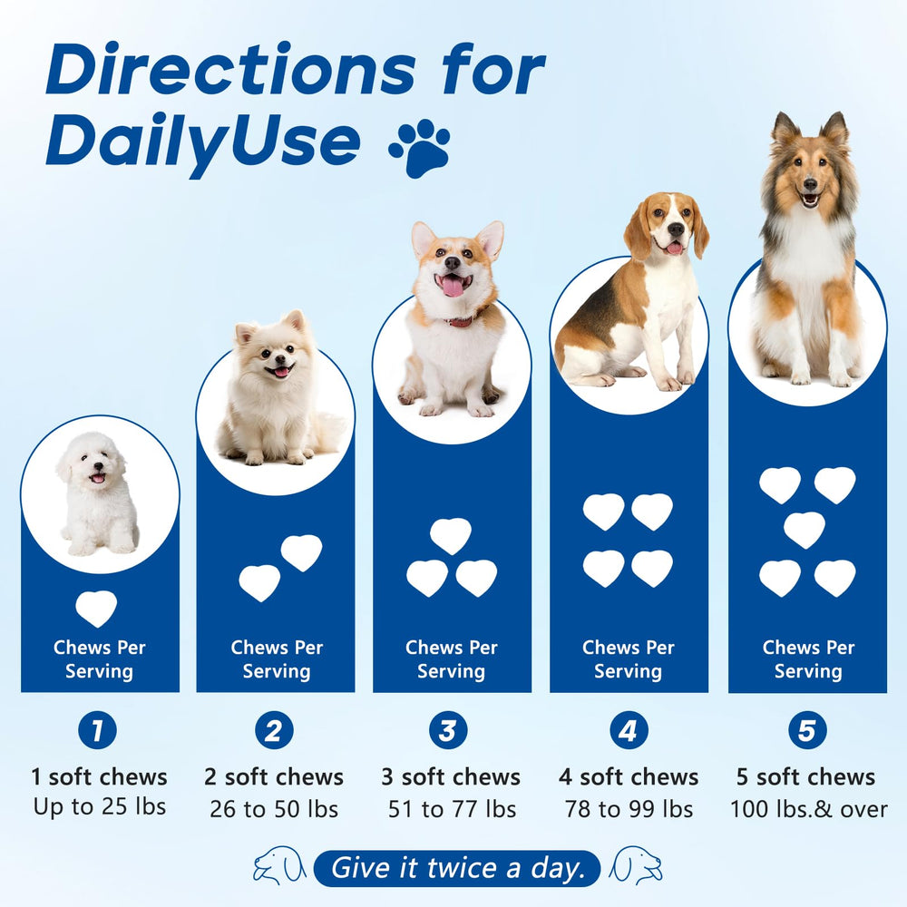 GuruAmi Probiotics para perros, favorece la digestión y absorción de nutrientes.