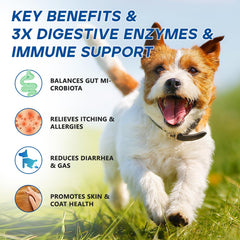 GuruAmi Probiotics para perros, ingredientes clave y beneficios nutricionales.