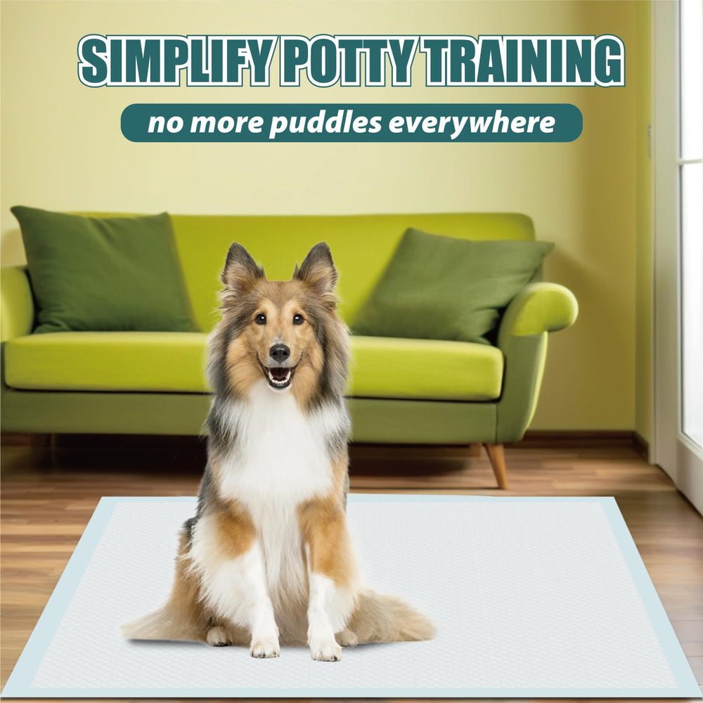 GWT Almohadillas para Cachorros, duraderas y fiables para entrenamiento diario.