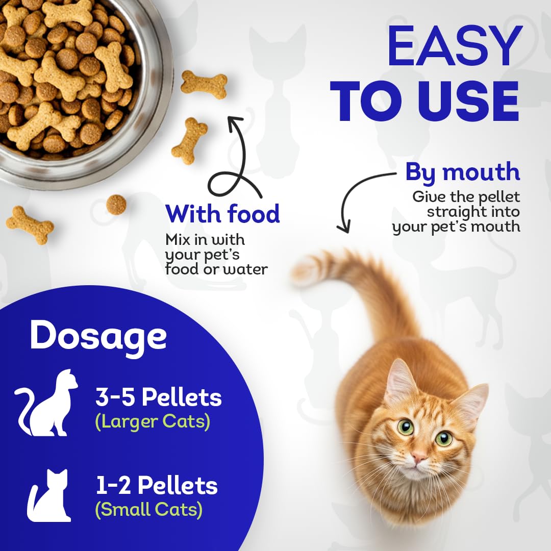 HA4E mezclable en comida para gatos, forma práctica de incluirlo.