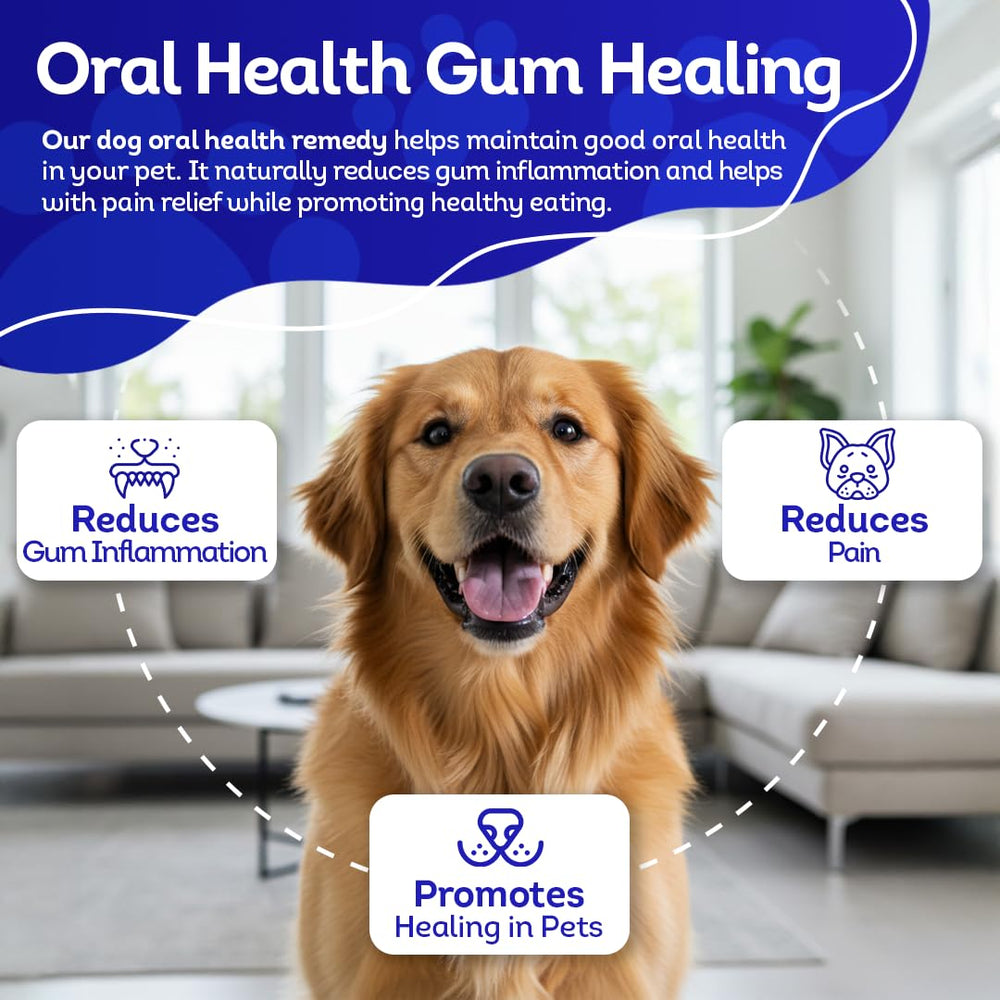 HA4E pastillas homeopáticas mezcladas en la comida del perro