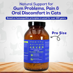 HA4E sabor natural para cuidado dental felino, opción segura.
