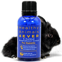 HealthyAnimals4Ever HA4E tabletas, envase práctico para dosis diarias del conejo
