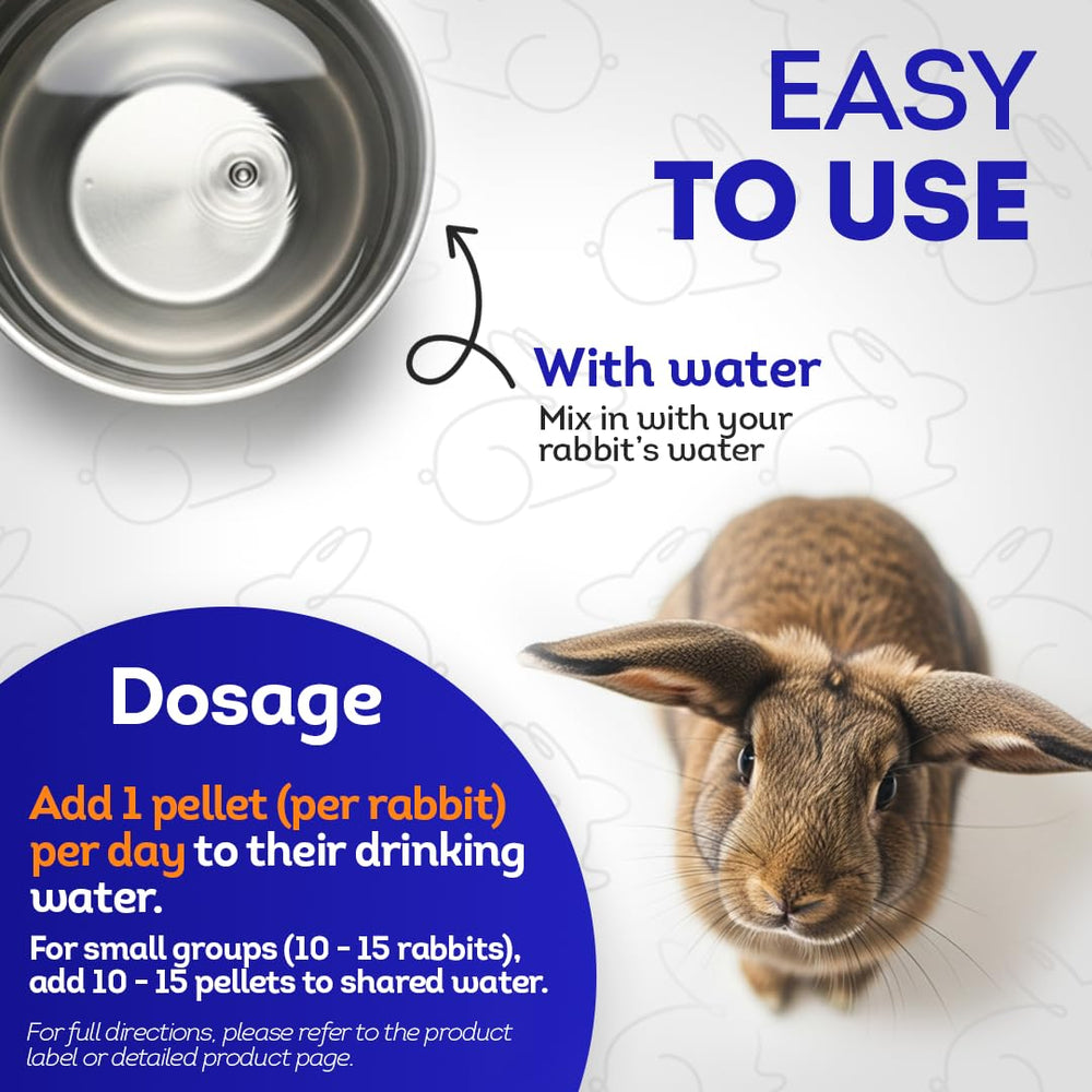 HealthyAnimals4Ever HA4E tabletas de uso diario para el cuidado del conejo