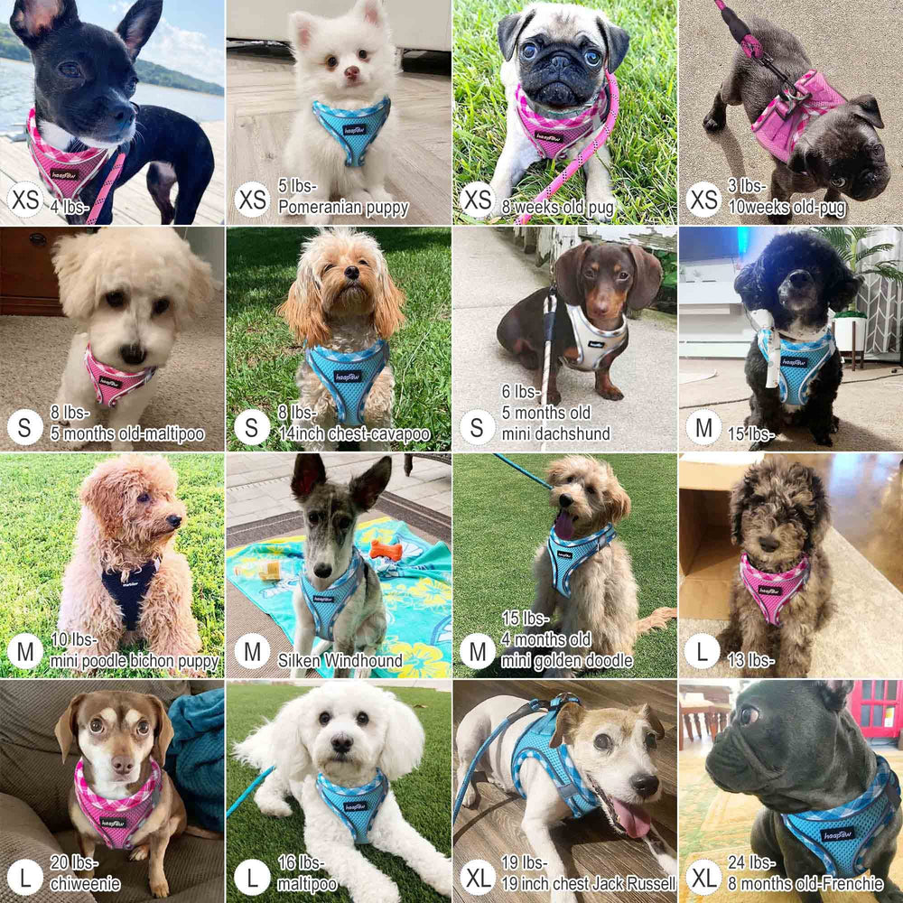 Ouverture par l’avant pour enfiler rapidement le harnais haapaw.
