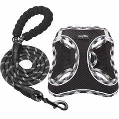 Haapaw harnais-laisse ensemble pour chien, confort et liberté lors des promenades quotidiennes.
