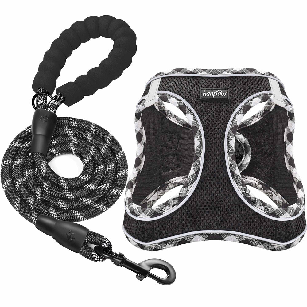Harnais haapaw avec laisse pour petit chien, ensemble pratique et confortable pour les promenades.