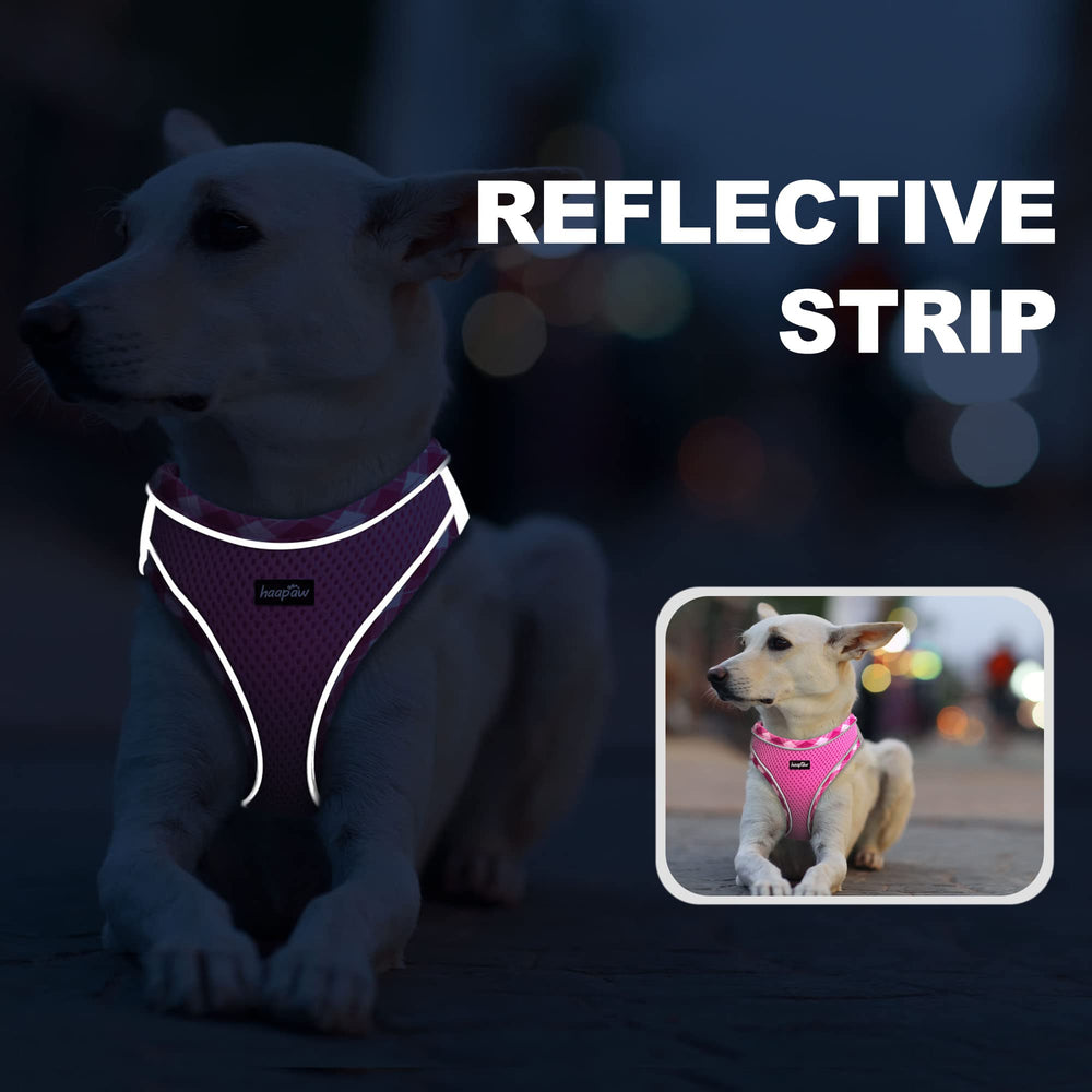 Harnais haapaw bandes reflectissantes a 360 degres pour visibilite nocturne