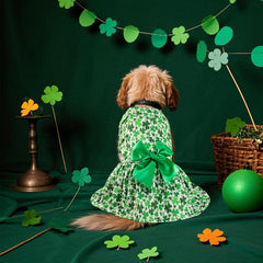 Habbiful conjunto Día de San Patricio para perro, perfecto para eventos.