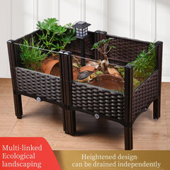Caja de hábitat elevada para tortugas, construcción antic escapamiento para crías curiosas.