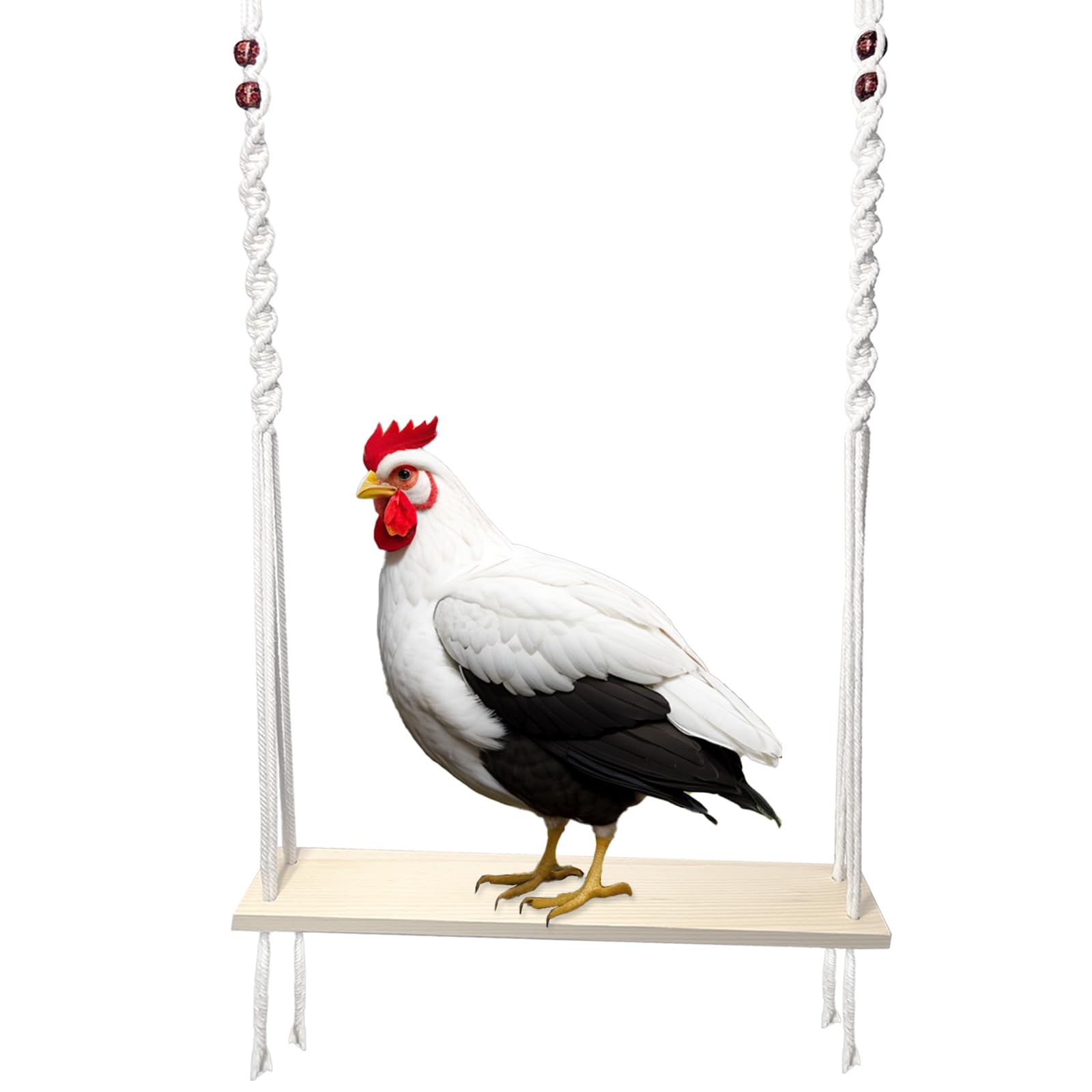 HahaMagic columpio gallinas con tabla: entretenimiento seguro en el gallinero.