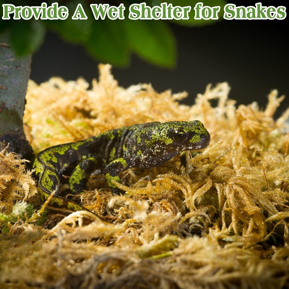 Halatool musgo sphagnum para tortugas de caja y otros reptiles, cama suave.