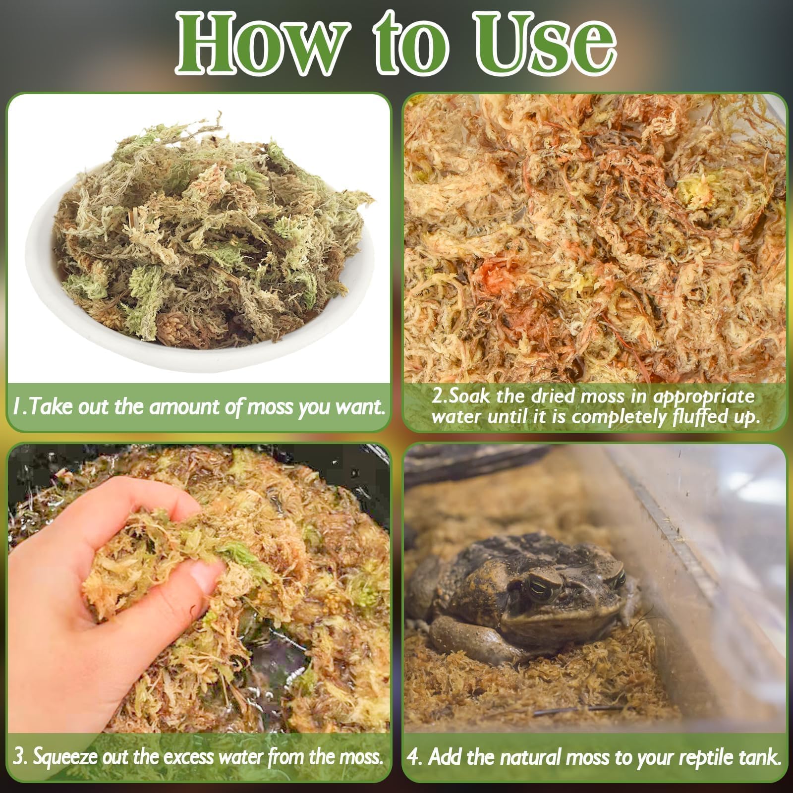 Halatool musgo sphagnum para terrario, mantiene humedad estable y aspecto natural.