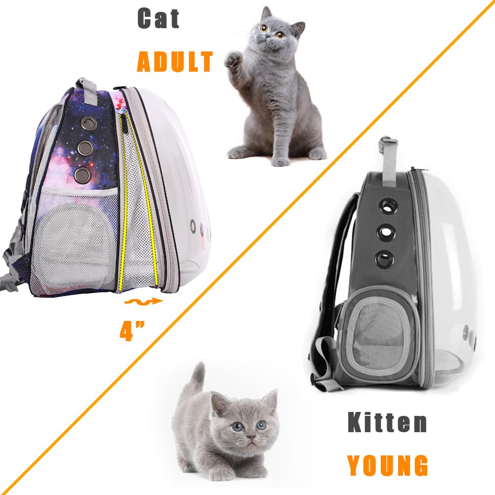 halinfer mochila gato y perro: soporta mascotas de hasta 20 libras