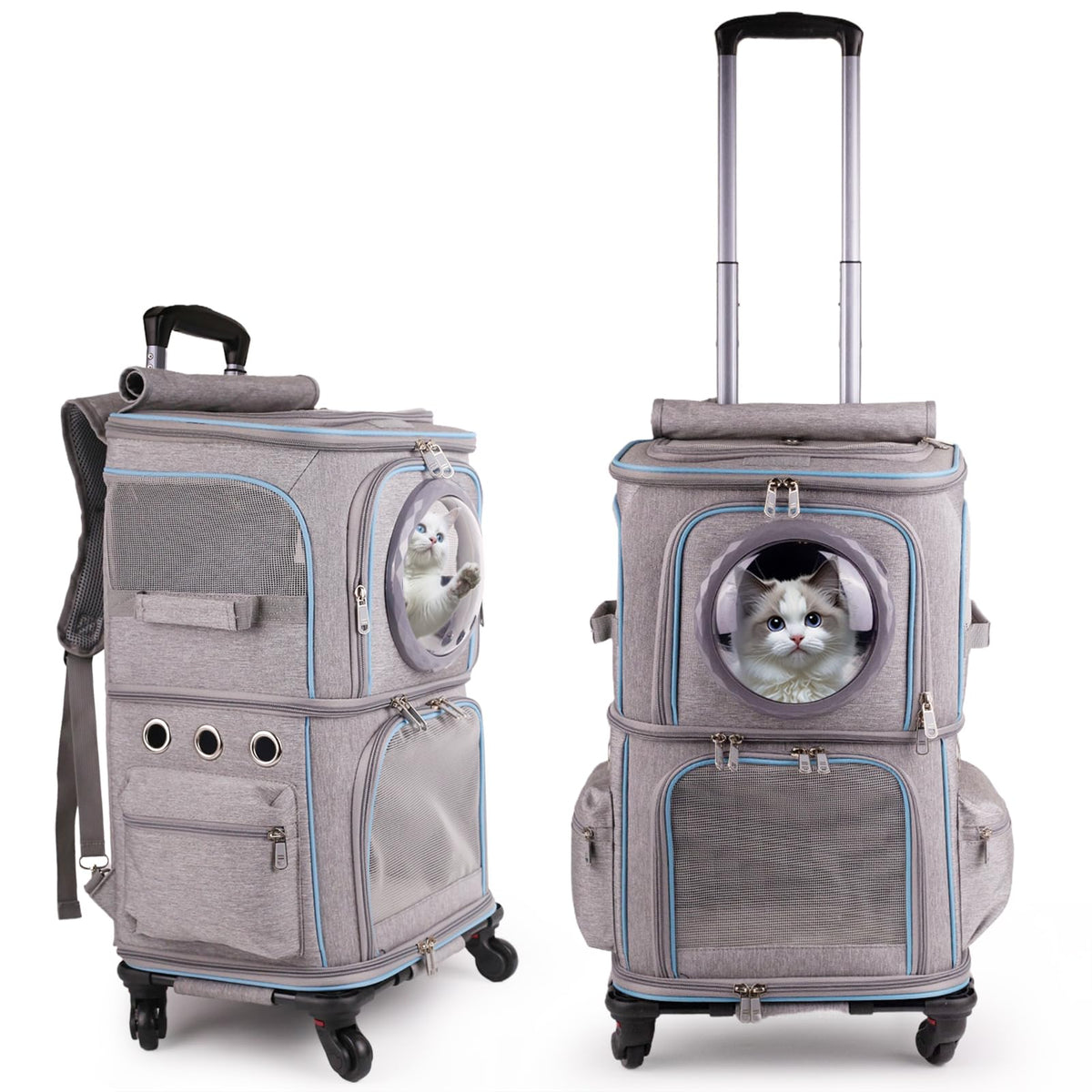 Halinfer mochila transporte doble gatos, dos mininos viajando cómodos para traslados.