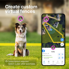 Halo Collar 4: ubicación en tiempo real para ver movimientos del perro.