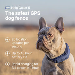 Halo Collar 5 alertas de cercado virtual para control de límites