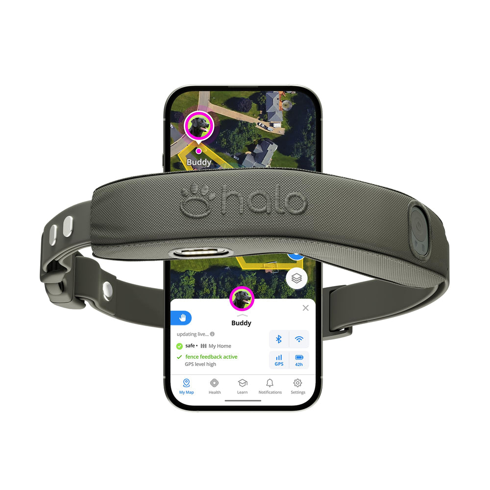 Halo Collar 5: localización GPS en tiempo real para paseos y jardín.