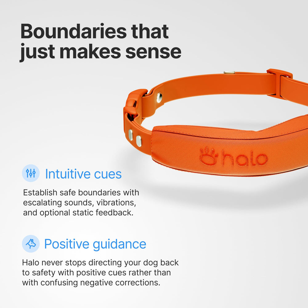 Halo Collar 5: diseño ajustable para todos los tamaños de perro