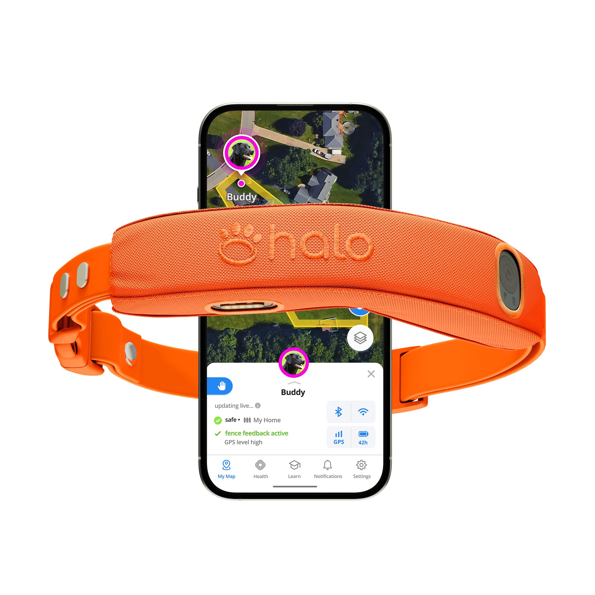Halo Collar 5 en exterior con zona de límite para paseos seguros.