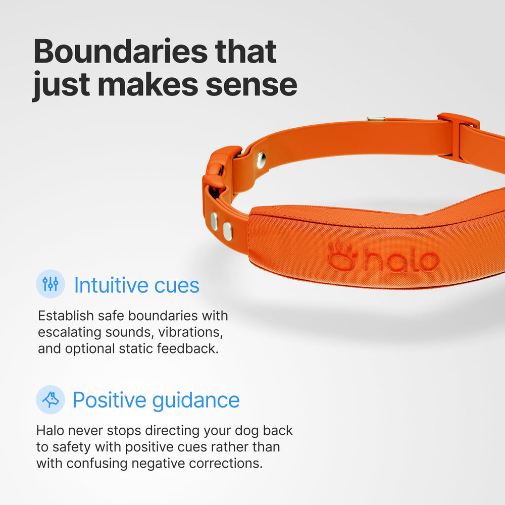 Halo Collar 5 IP67 resistente al agua para aventuras al aire libre.