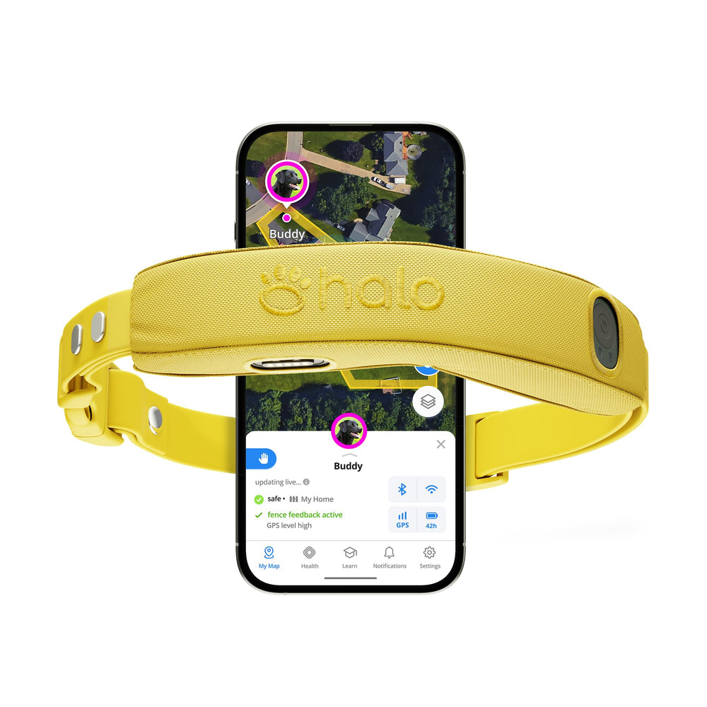 Halo Collar 5: ubicación GPS precisa para exteriores