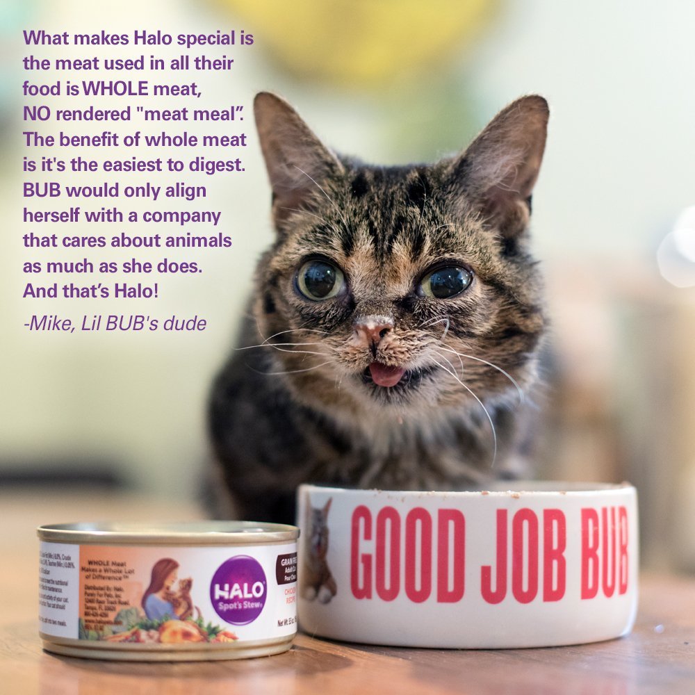 Halo Grain Free Soft Pate ofrece textura suave y trocitos de vegetales para variedad de sabores