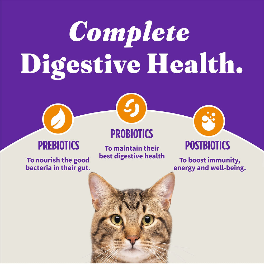 Halo Holistic cocinado en Estados Unidos, ingredientes reales para gatos.