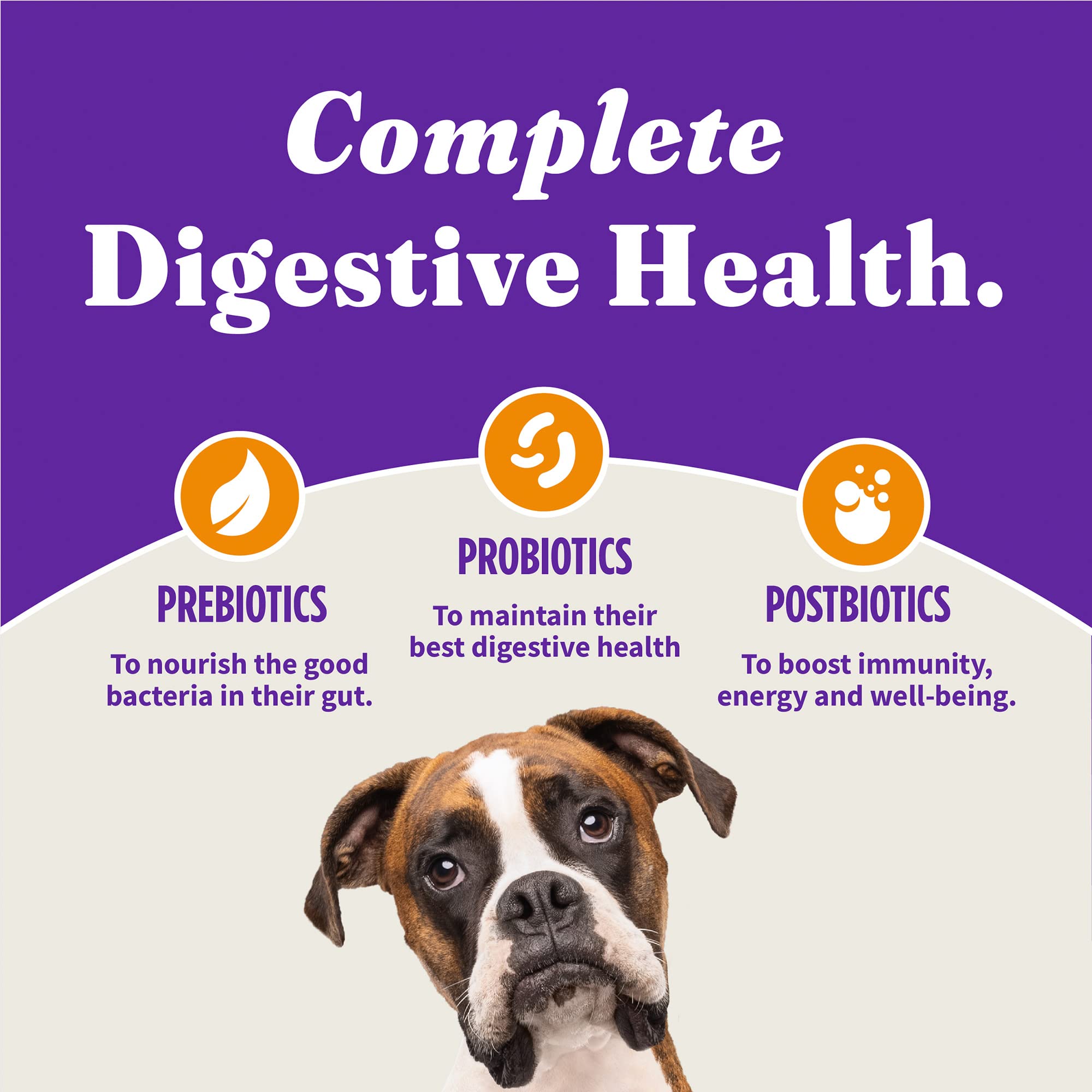 Halo Holistic: preb bioticos y postbioticos para apoyo digestivo.