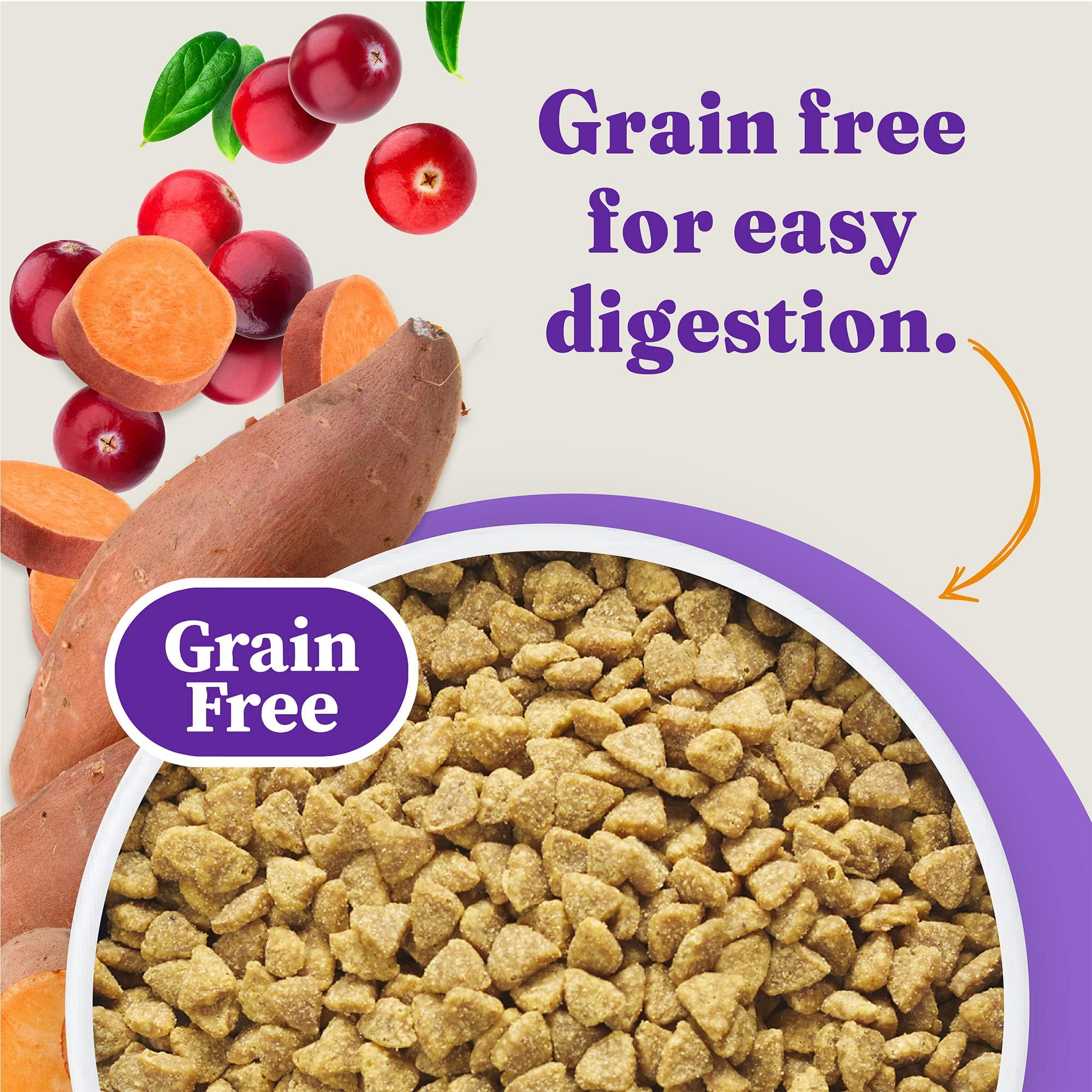 Halo Holistic receta para piel y pelaje con omega, brillo saludable.