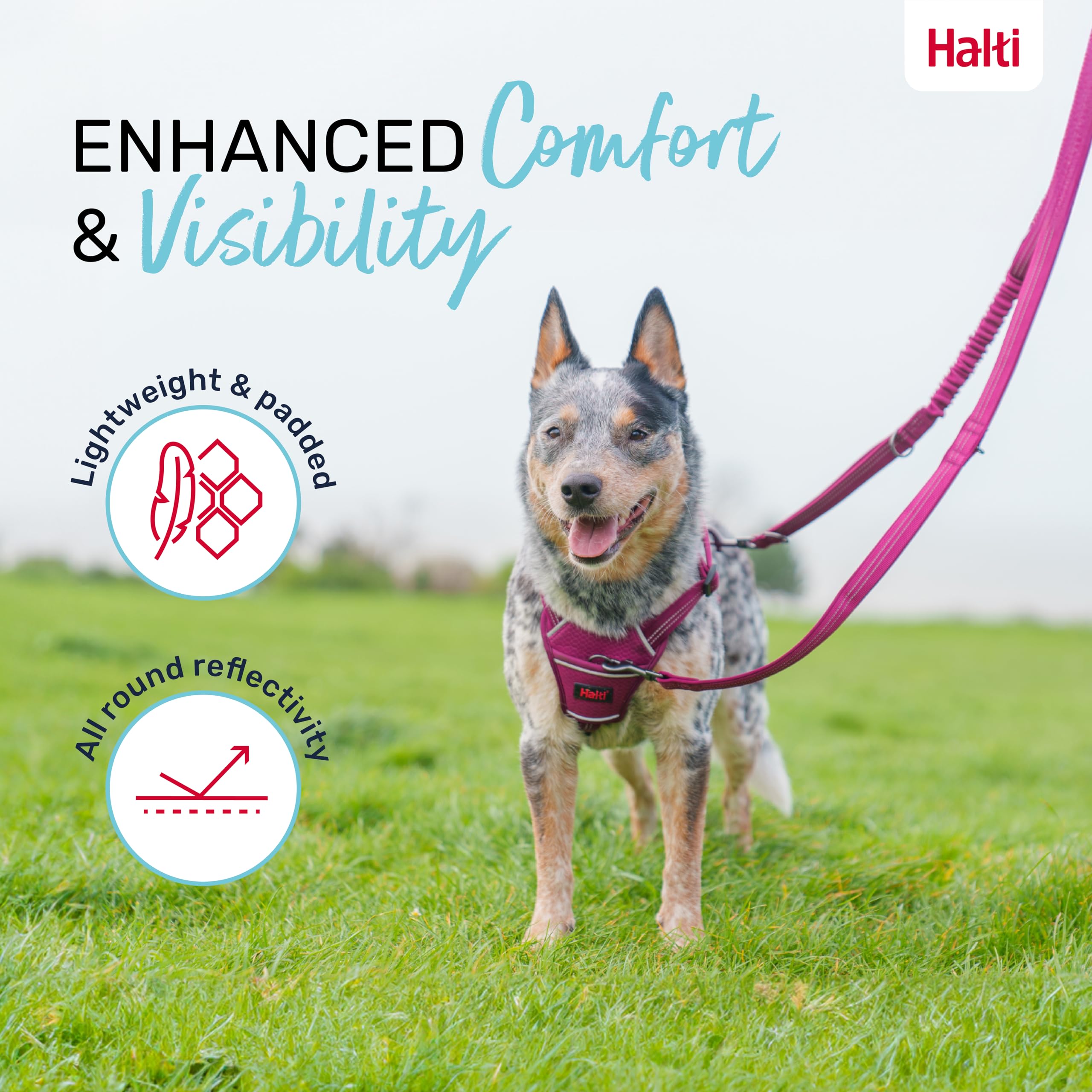 Halti Anatomy: longitud ajustable hasta 2 m para diferentes entornos.