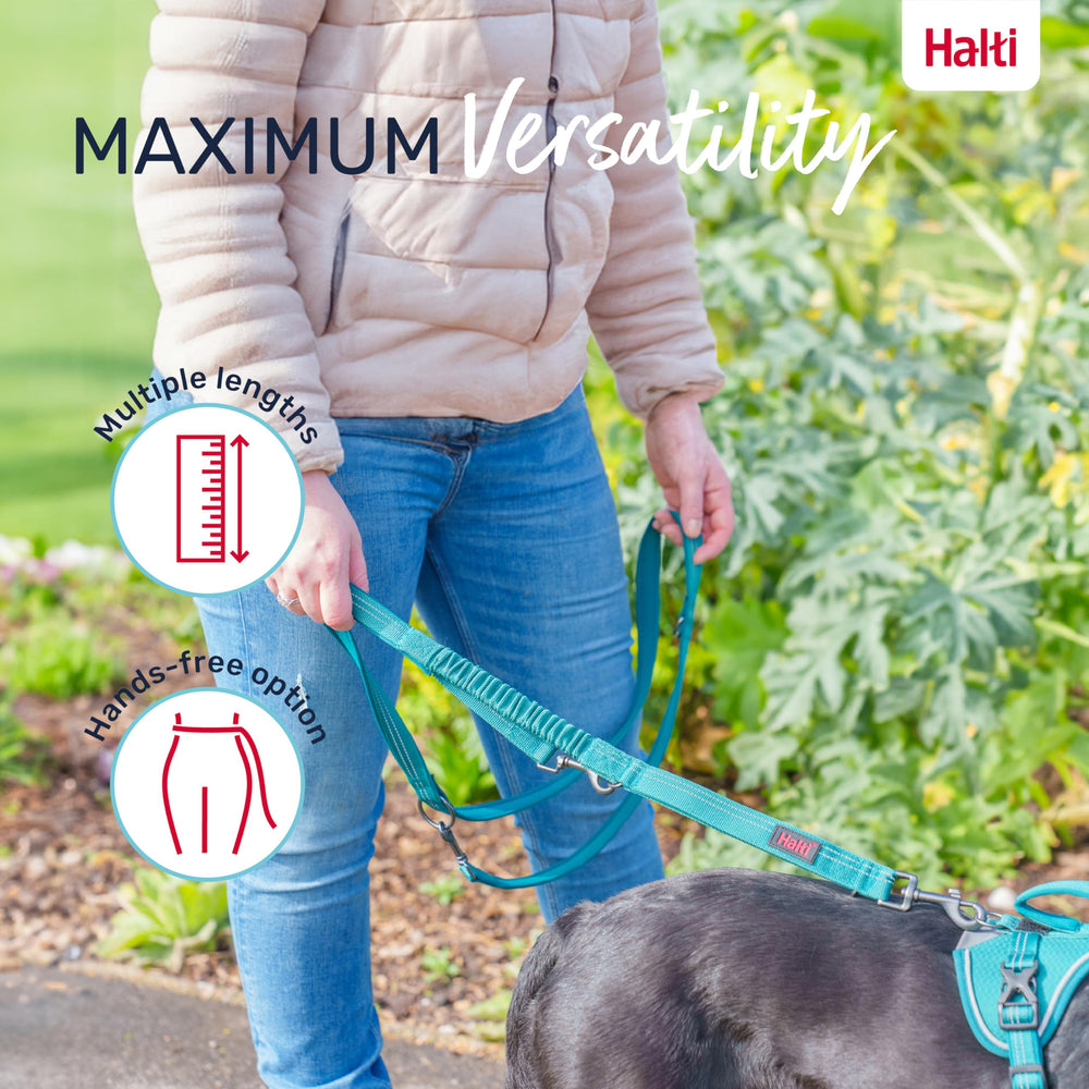 Halti Anatomy: elementos reflectantes y acolchado de neopreno para visibilidad y comodidad.