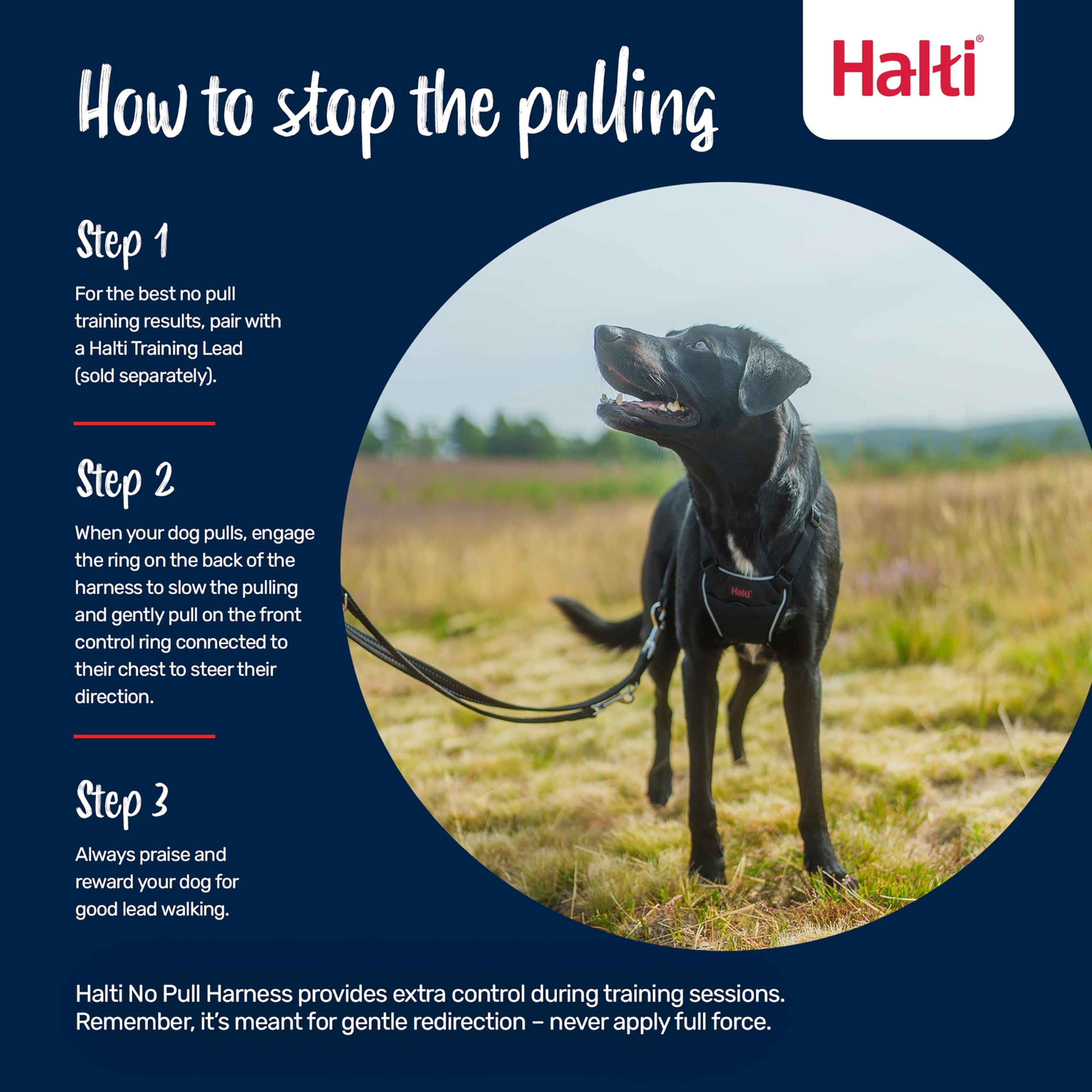 Halti No Pull Harness doble gancho: soporte para correa de entrenamiento