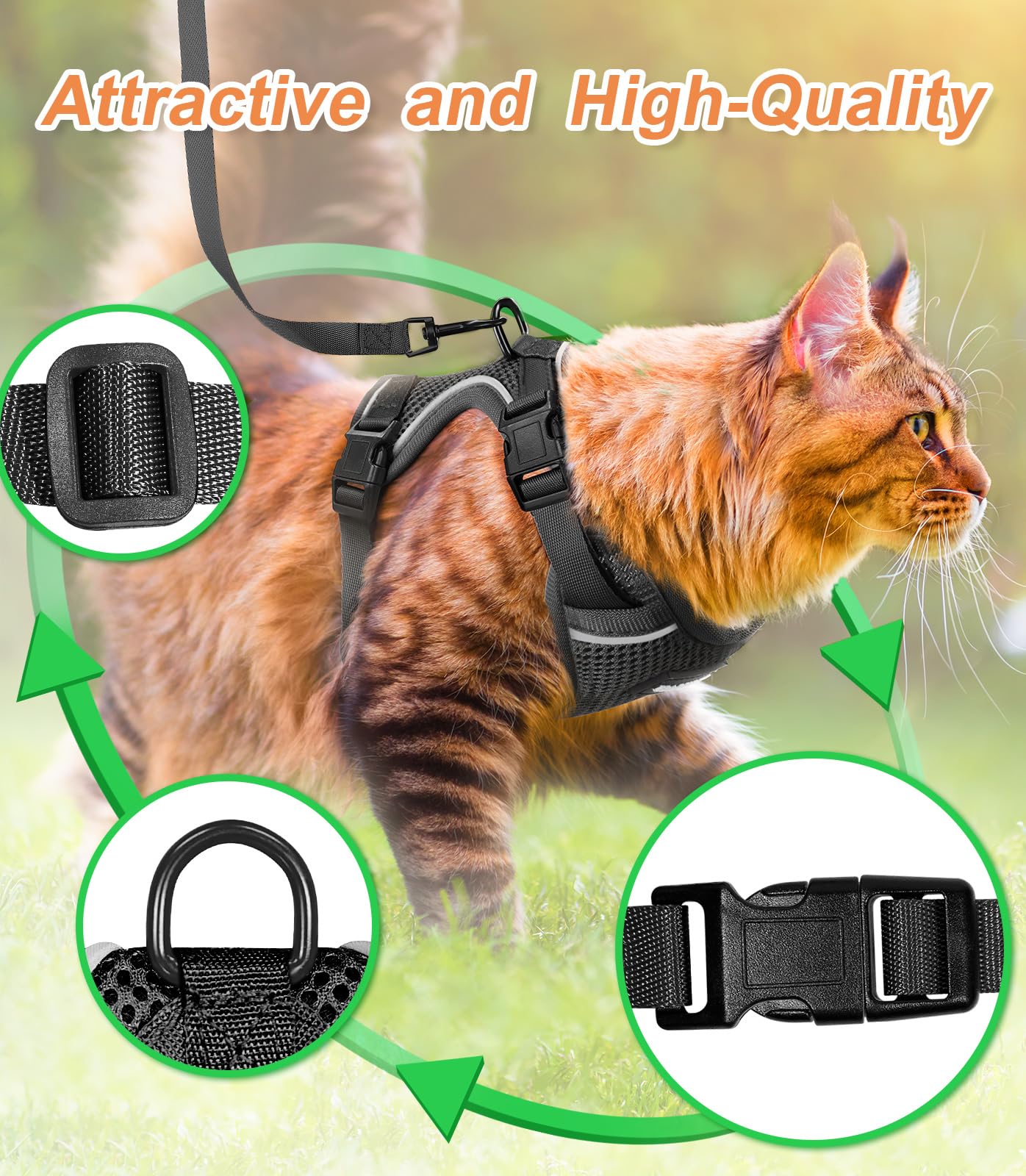 Halypet correa para gato con acabados duraderos para caminatas largas.