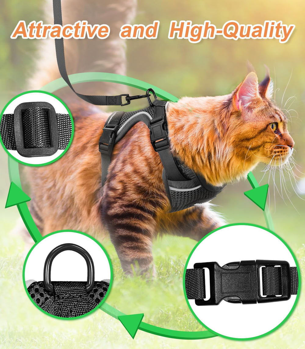 Halypet correa para gato con acabados duraderos para caminatas largas.