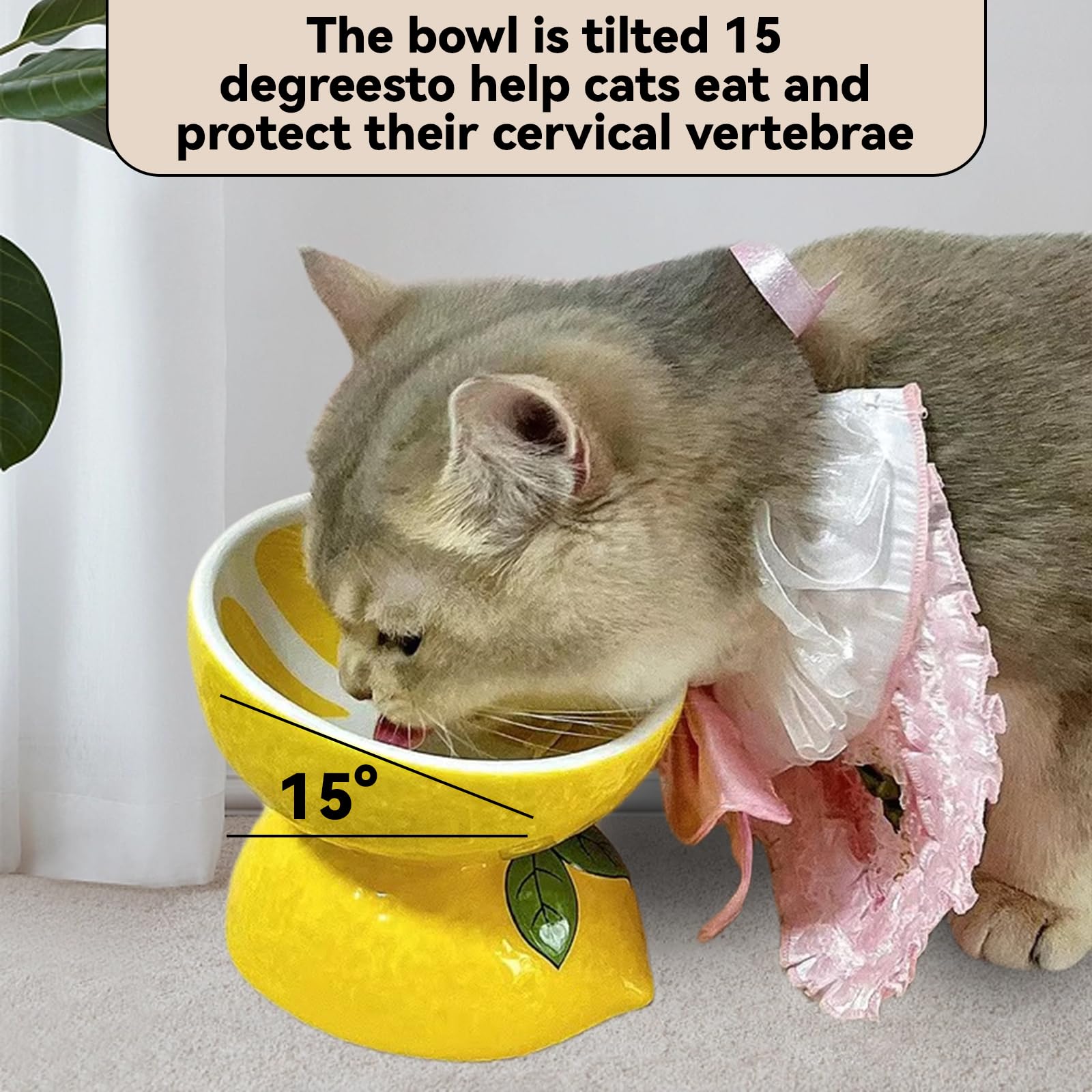 Hamiledyi altura-ergonomica-gato favorece postura cómoda al comer