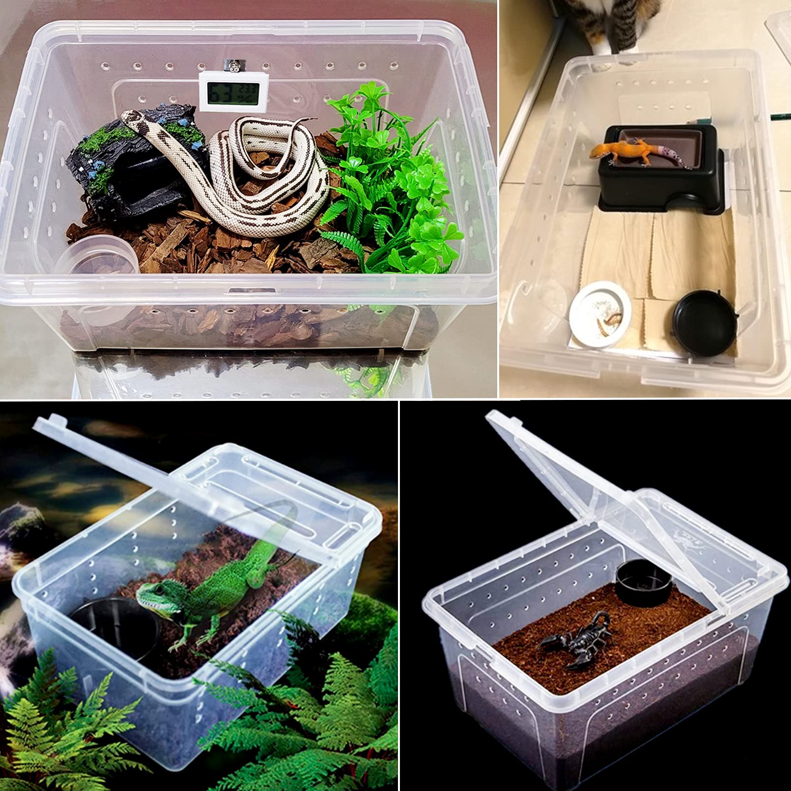 Hamiledyi caja para cría de reptiles con apertura doble para acceso rápido.