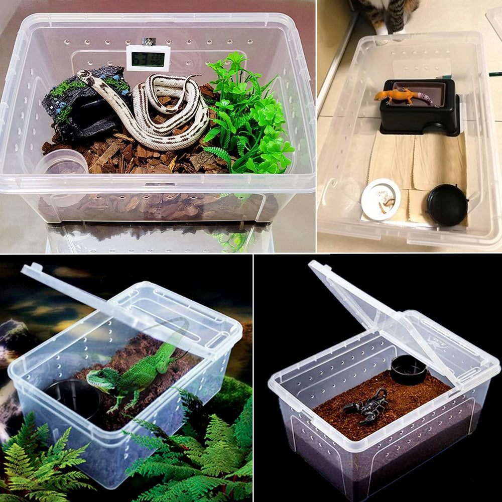 Hamiledyi caja para cría de reptiles con apertura doble para acceso rápido.