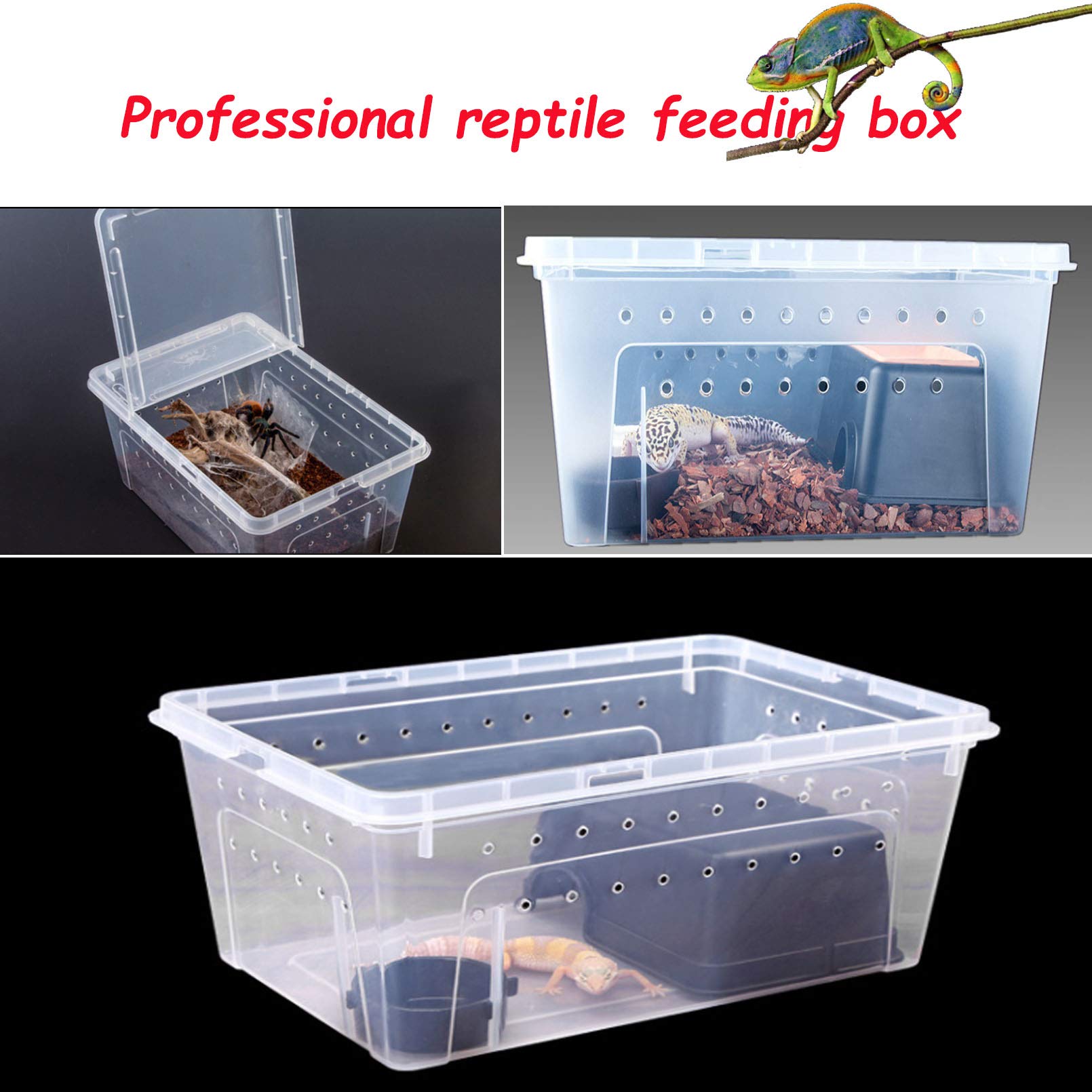 Hamiledyi caja para reptiles transportable y ligera para salidas.