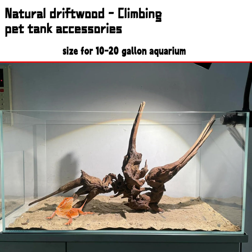 Hamiledyi Deriva natural para acuario, añade textura realista y refugio para reptiles.