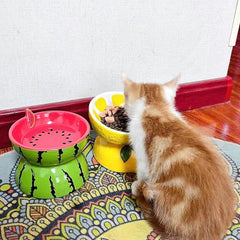 Hamiledyi dos-platos-gato-ceramicos colores distintos para diferenciar comida y agua