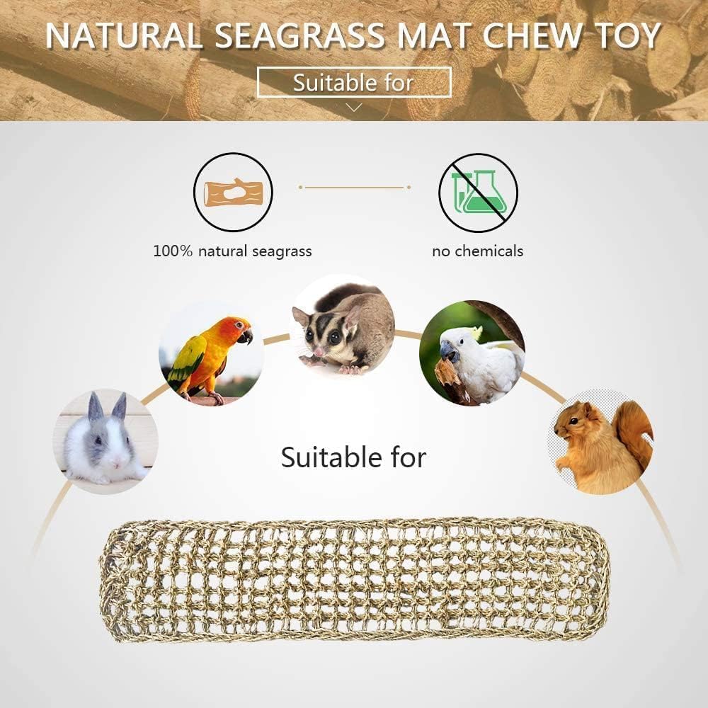 Hamiledyi-forraje-seagrass-aves: pared DIY para estimular búsqueda de comida.