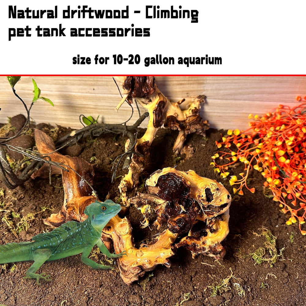 Hamiledyi hábitat para terrario de reptiles con troncos naturales, invita trepar y ocultarse.