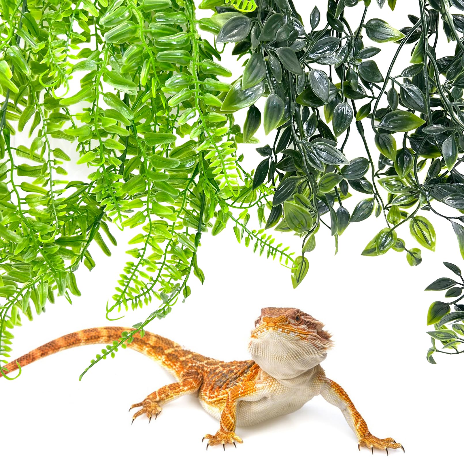 Hamiledyi hoja verde larga crea un paisaje natural en el terrario.