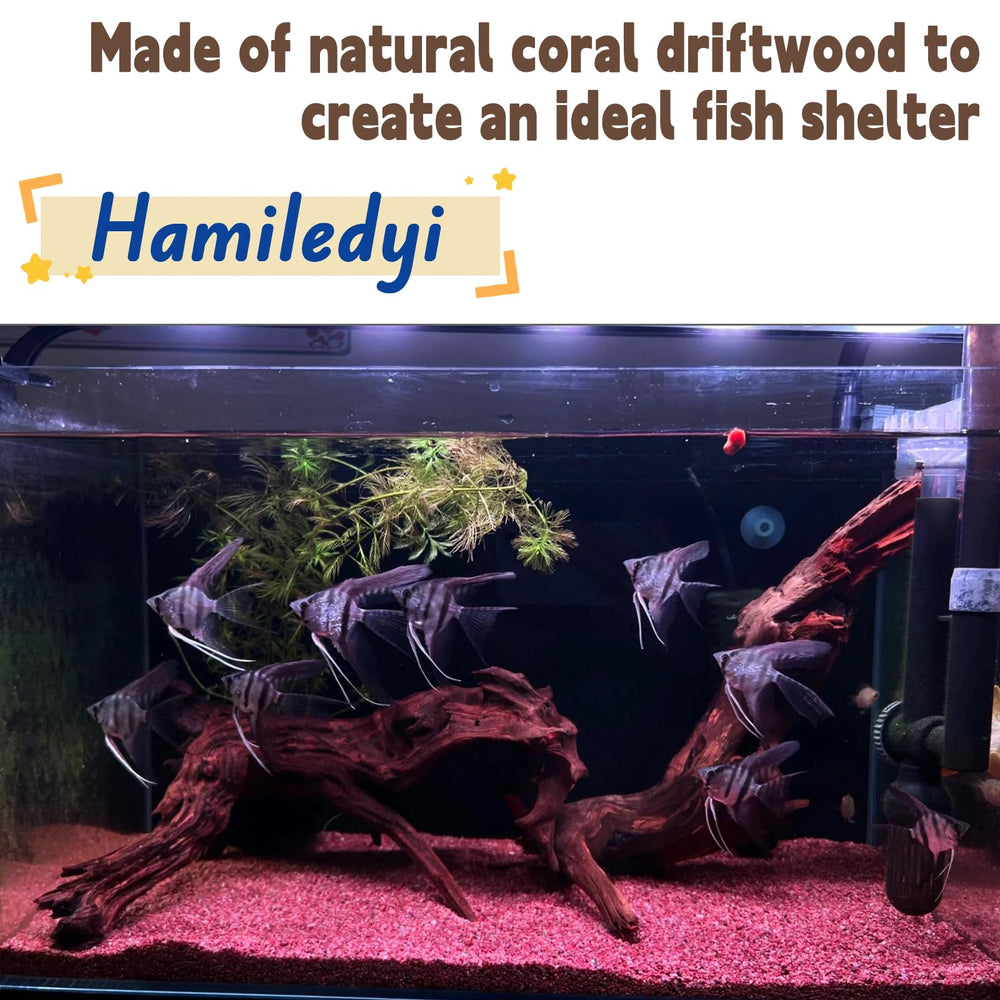 Hamiledyi Madera de deriva natural, perfecta para terrarios y espacios verdes.
