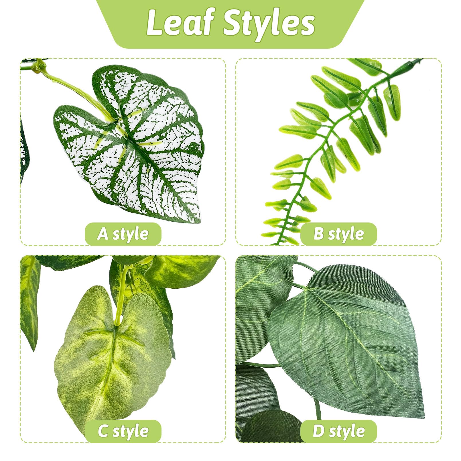 Hamiledyi plantas para terrario, realzan color y ambiente