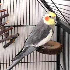 Hamiledyi plataforma para jaula, instalación rápida y segura.