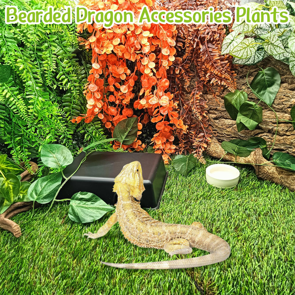 Hamiledyi ventosas resistentes permiten fijar en paredes del terrario con confianza.